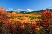 Colorado